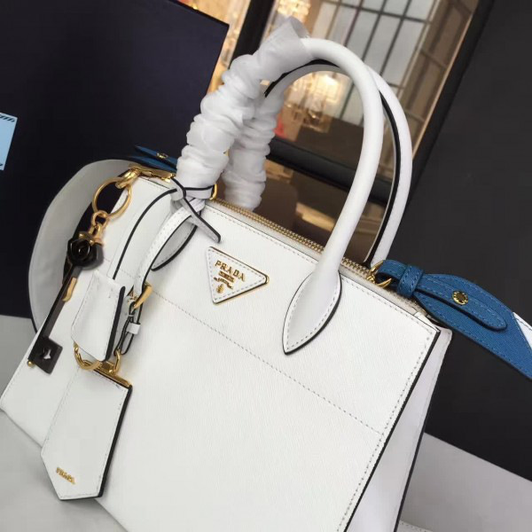 cohotbag Pra*a paradigme 3853