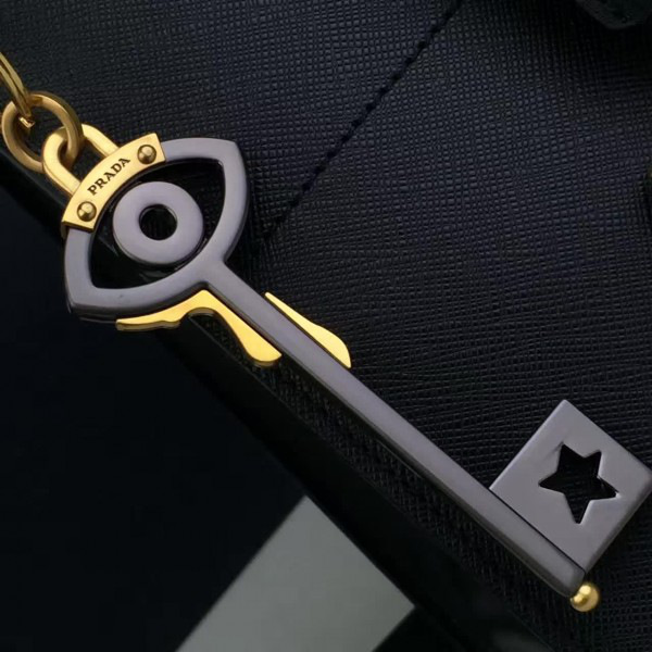 cohotbag Pra*a paradigme 3848