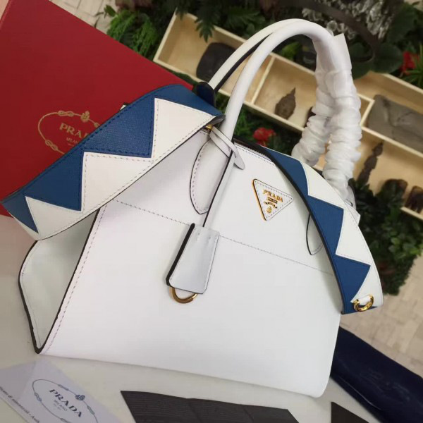 cohotbag Pra*a paradigme 3855