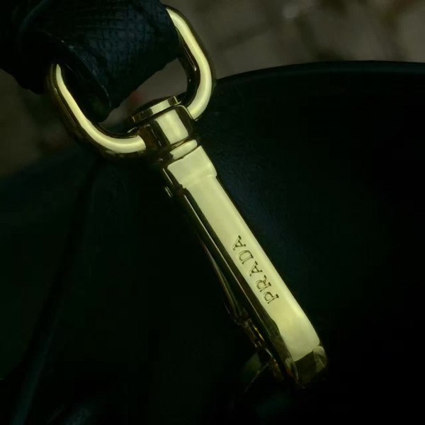 cohotbag Pra*a paradigme 3856