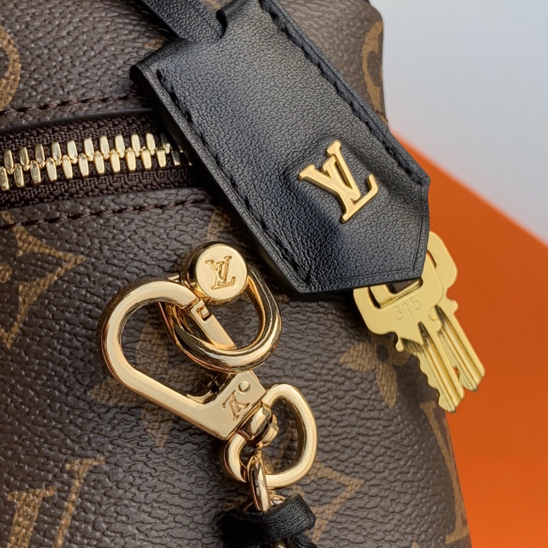 LV 2020 Vanity PM Monogram in Brown handbags M42264 14 x 19 x 10 cm