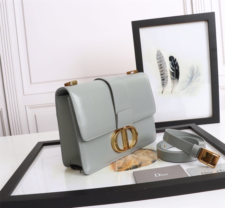 D10r lady D10r montaigne smooth cowhide gray 24 x 17 x 8 cm