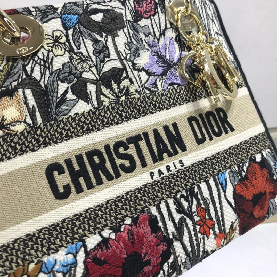 D10r medium lady d-lite bag latte multicolor D10r constellation embroidery m0565 24 x 20 x 11 cm